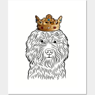 Barbet Dog King Queen Wearing Crown Posters and Art